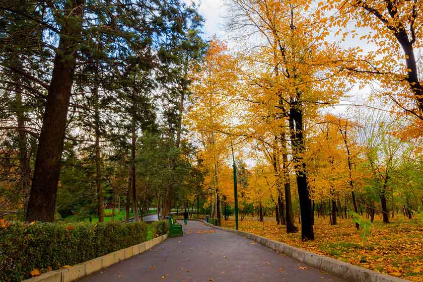 بهترین زمان خرید تور نوروز مشهد